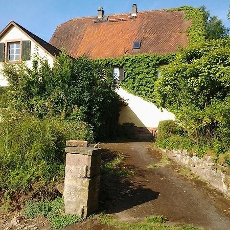 Hotel Gästehaus zum alten Schulhaus Miltenberg Zimmer foto